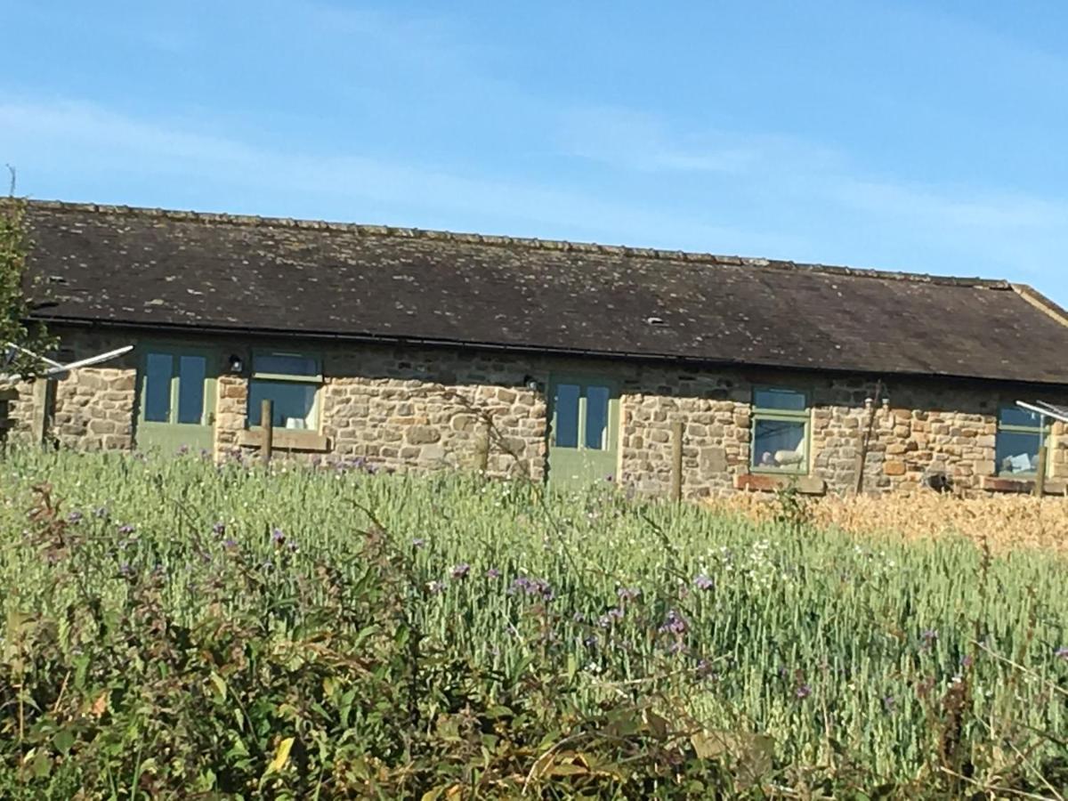 Riding Farm Cottages Гейтсхед Екстериор снимка